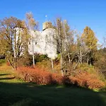 Borowikowe Zacisze Falsztyn