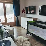 Borowikowe Zacisze * Falsztyn