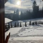 Borowikowe Zacisze Falsztyn