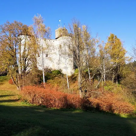 Borowikowe Zacisze Falsztyn