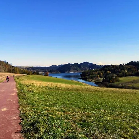 Borowikowe Zacisze Lägenhet *