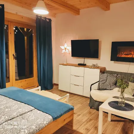 Borowikowe Zacisze Apartament