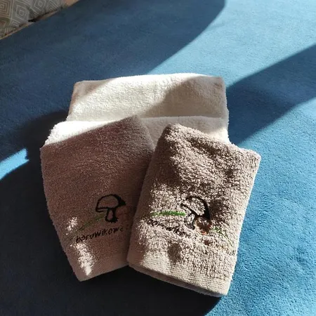 Borowikowe Zacisze Apartamento *
