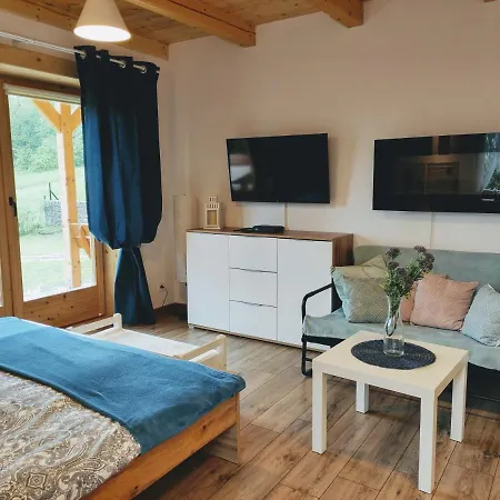 Borowikowe Zacisze Apartment *