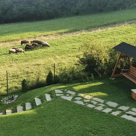 Borowikowe Zacisze *