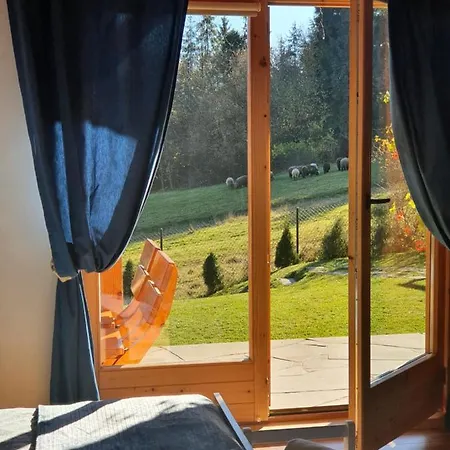 Borowikowe Zacisze アパート *