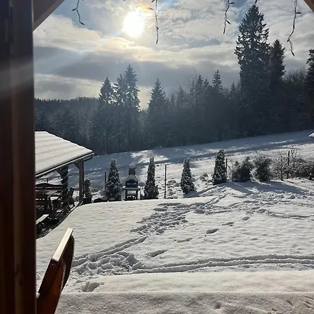 Borowikowe Zacisze Falsztyn